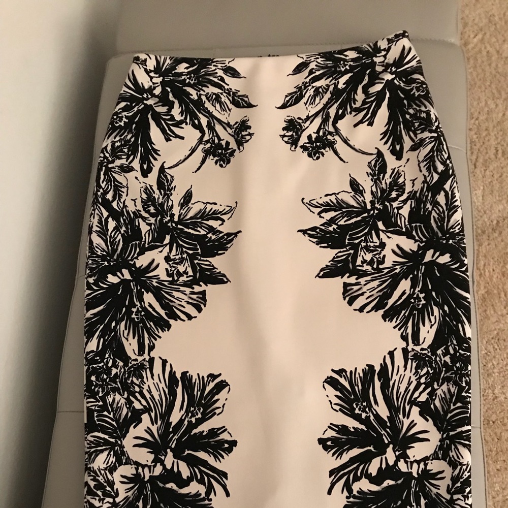 Black/White Pencil Skirt |The Limited